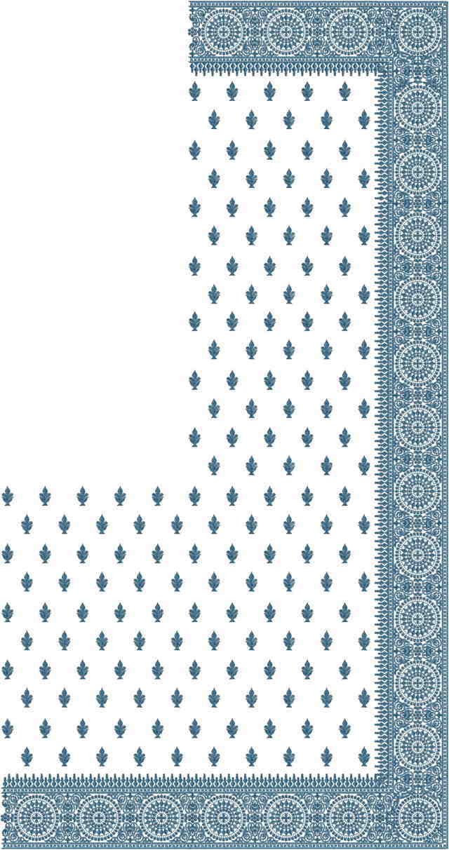 C Pallu Saree Design