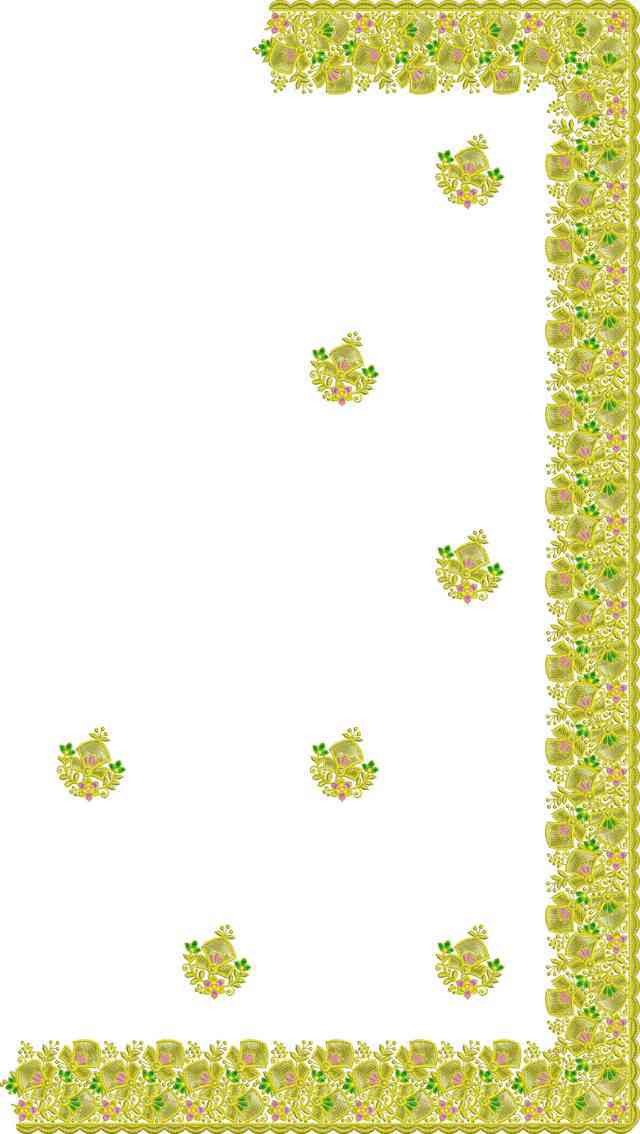 C Pallu Saree Design