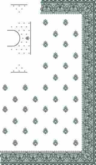 C Pallu Saree Design