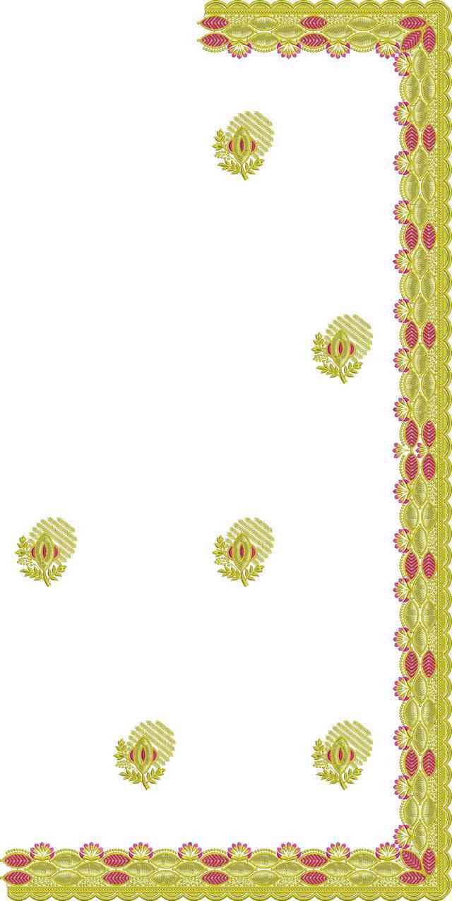 C Pallu Saree Design