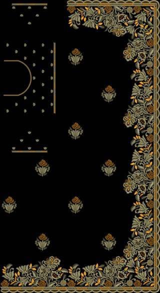 C Pallu Saree Design