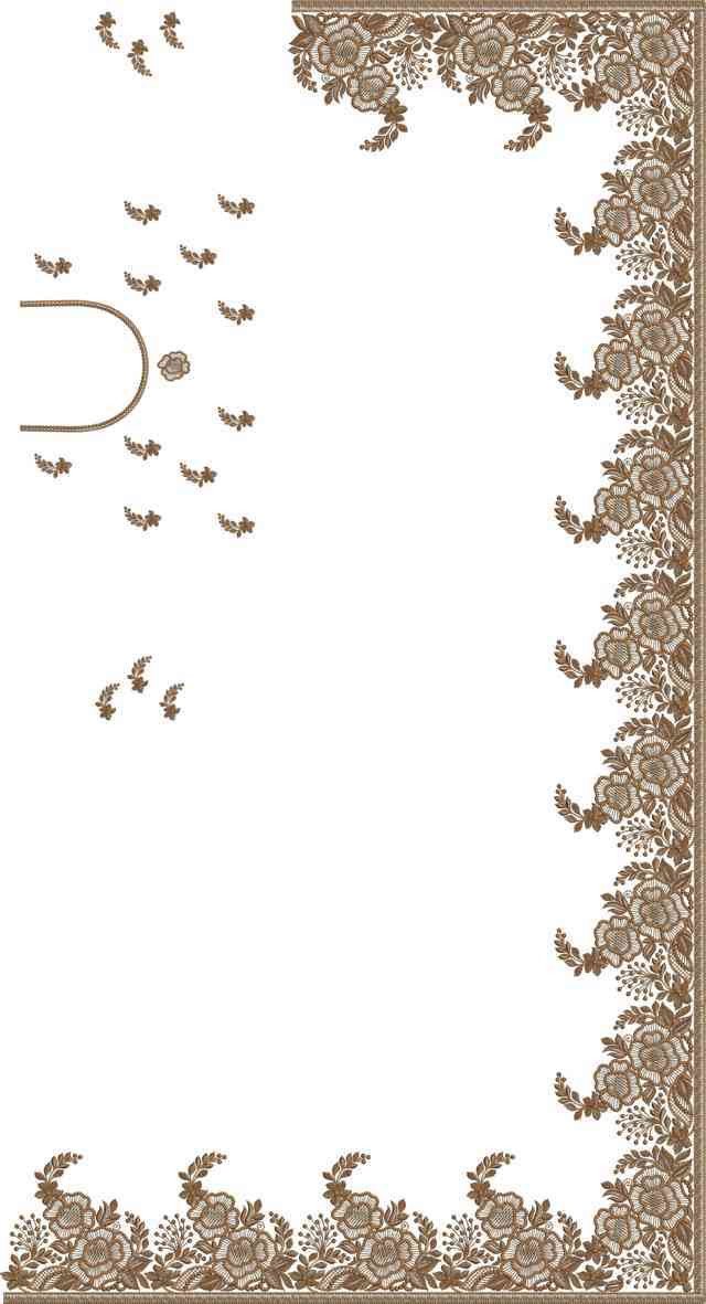 C Pallu Saree Design