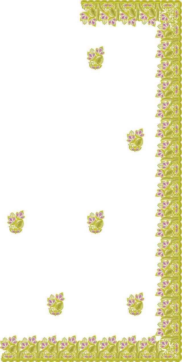 C Pallu Saree Design
