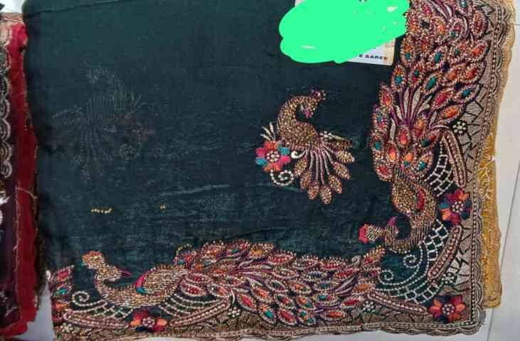 C Pallu Saree Design