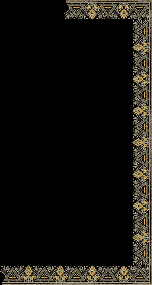 C Pallu Saree Design