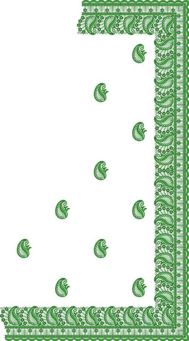 C Pallu Saree Design