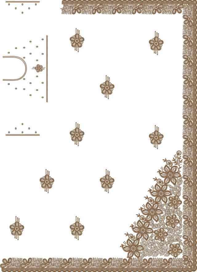 C Pallu Saree Design