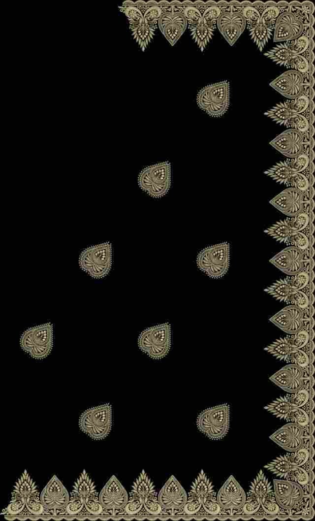 C Pallu Saree Design
