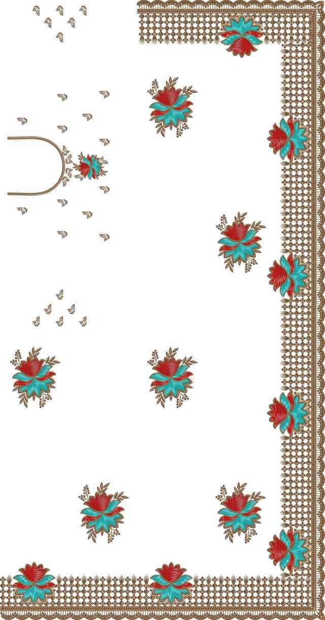 C Pallu Saree Design