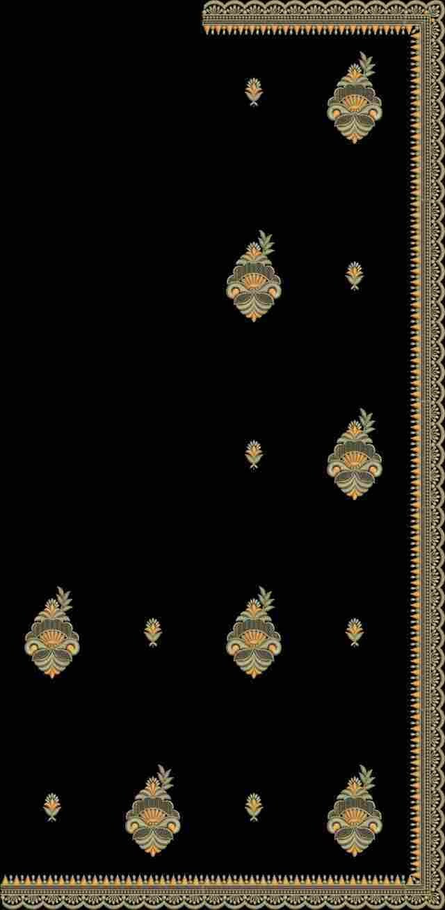 C Pallu Saree Design