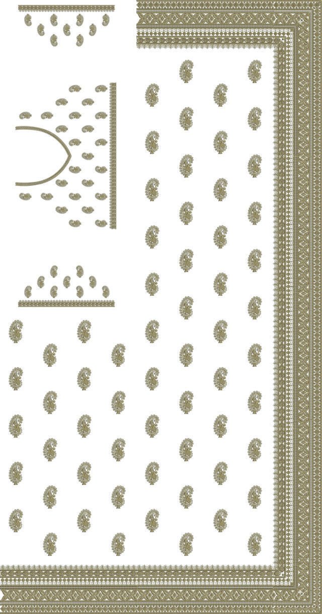 C Pallu Saree Design