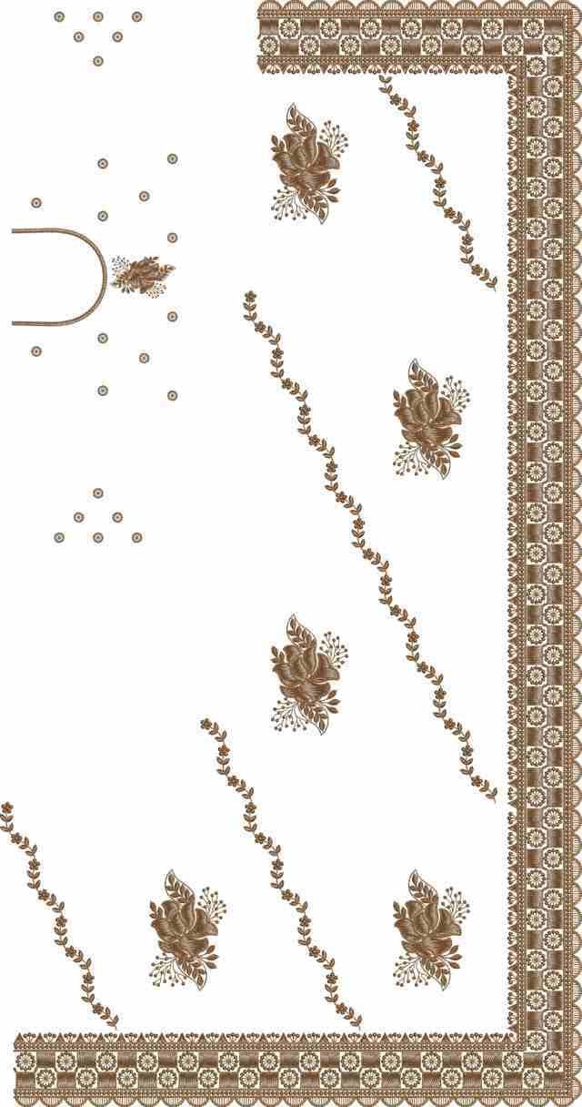 C Pallu Saree Design