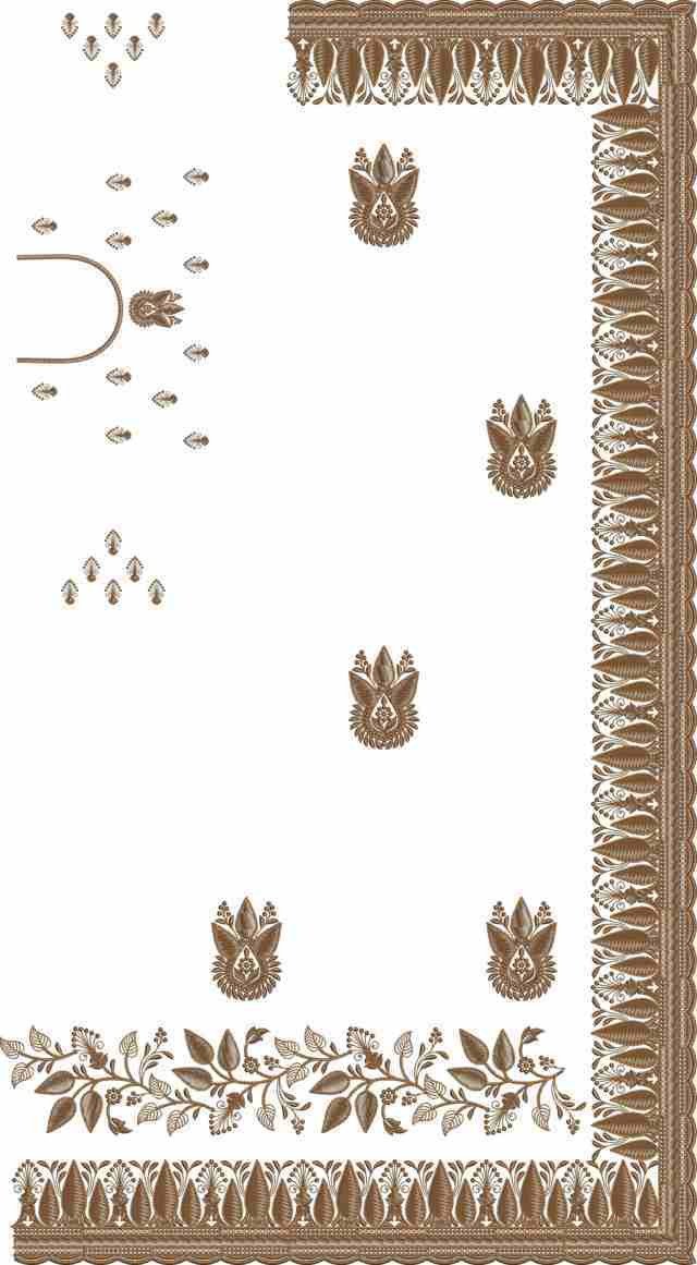 C Pallu Saree Design