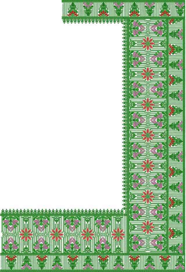 Vantara Special Saree Design