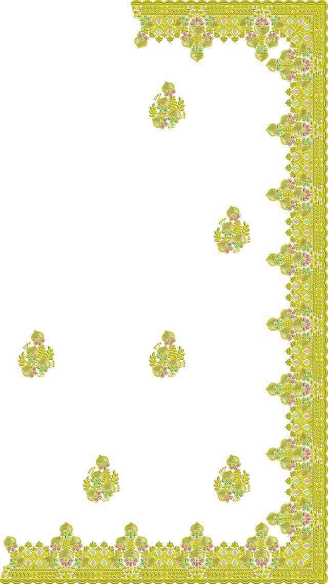 C Pallu Saree Design