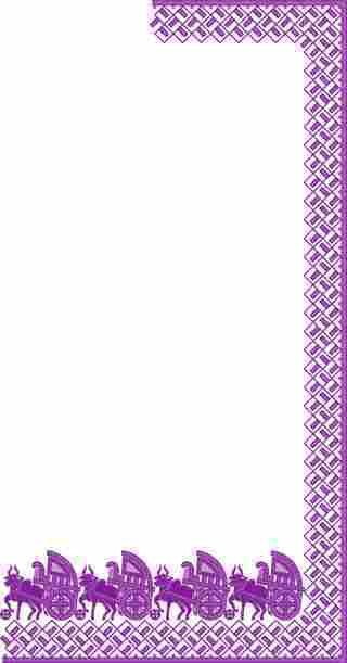 C Pallu Saree Design