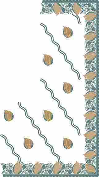 C Pallu Saree Design