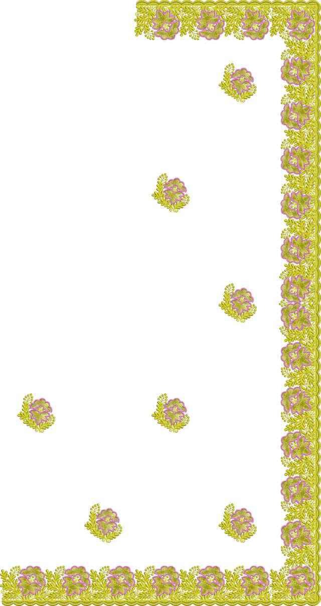 C Pallu Saree Design