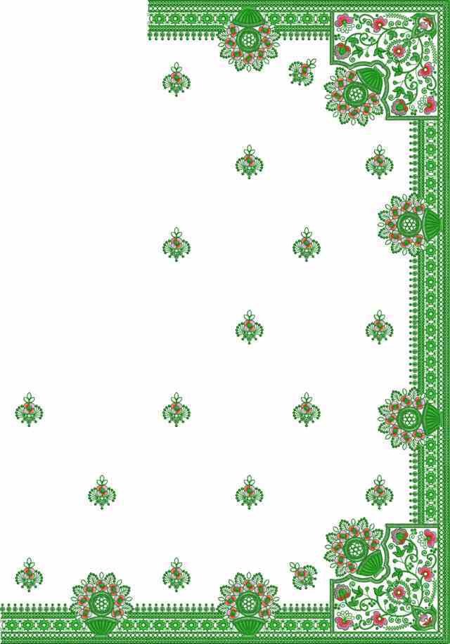 C Pallu Saree Design