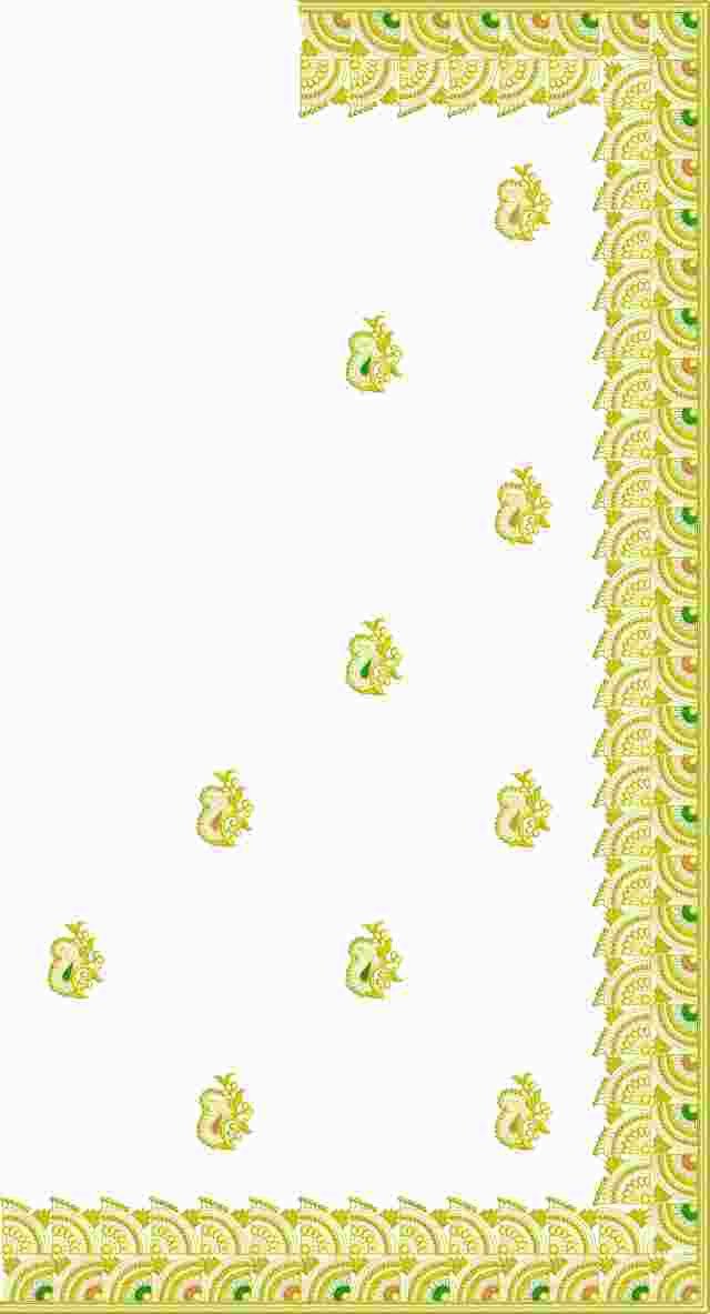 C Pallu Saree Design
