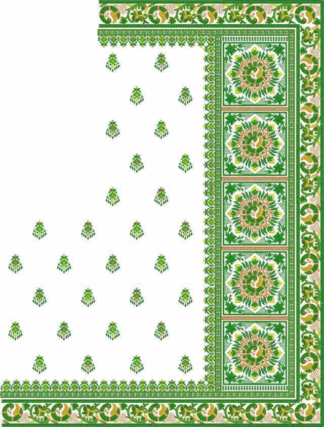 C Pallu Saree Design