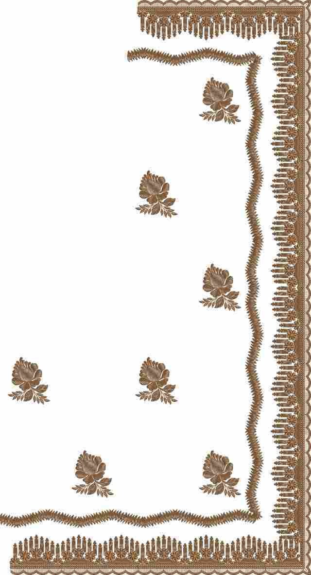 C Pallu Saree Design