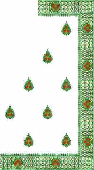 C Pallu Saree Design