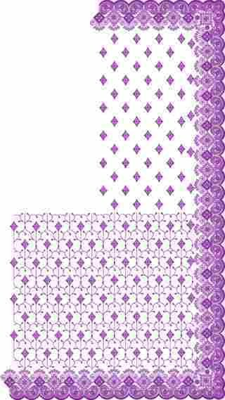 C Pallu Saree Design