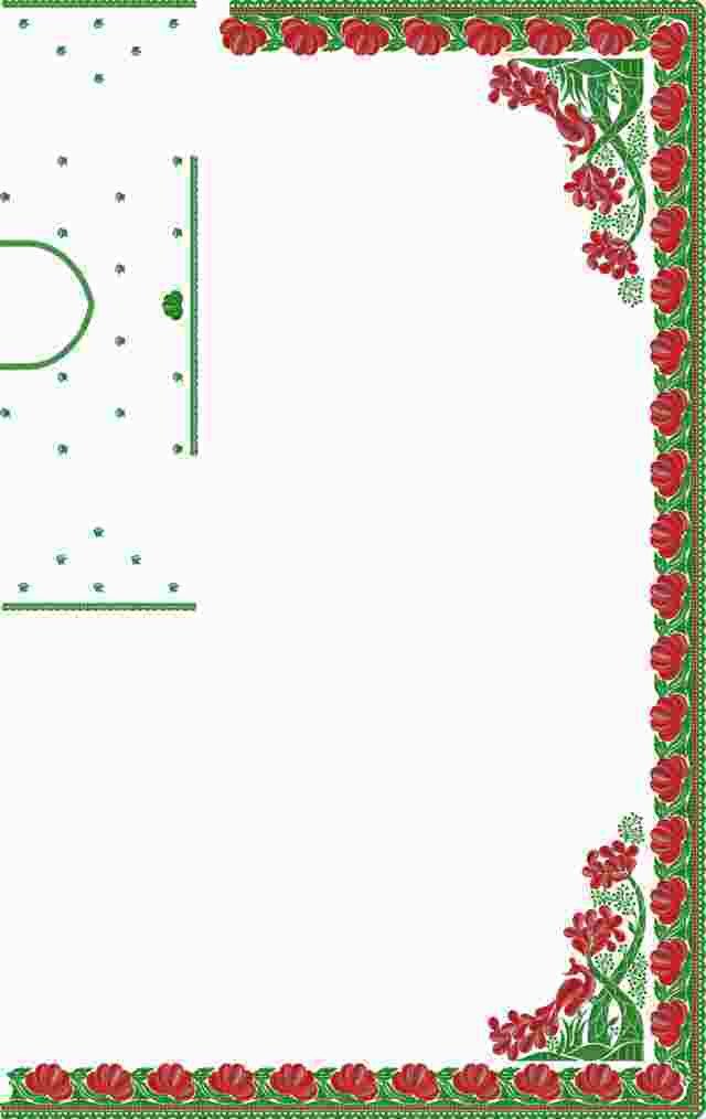 C Pallu Saree Design