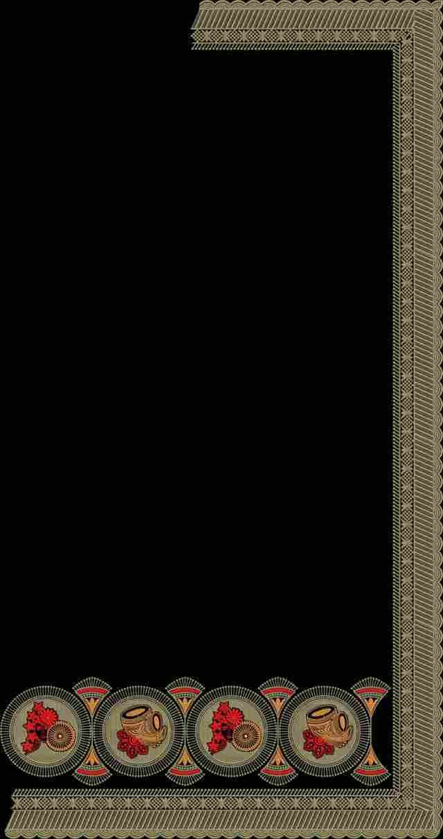 C Pallu Saree Design