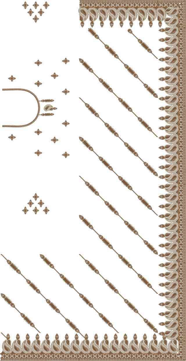 C Pallu Saree Design