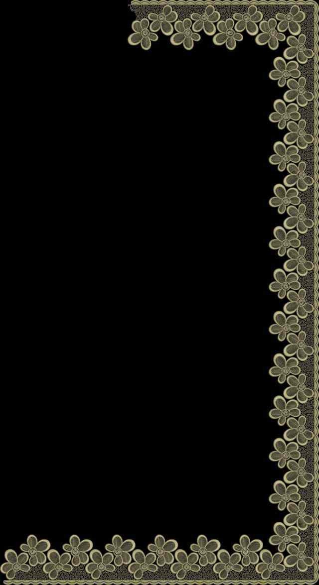 C Pallu Saree Design