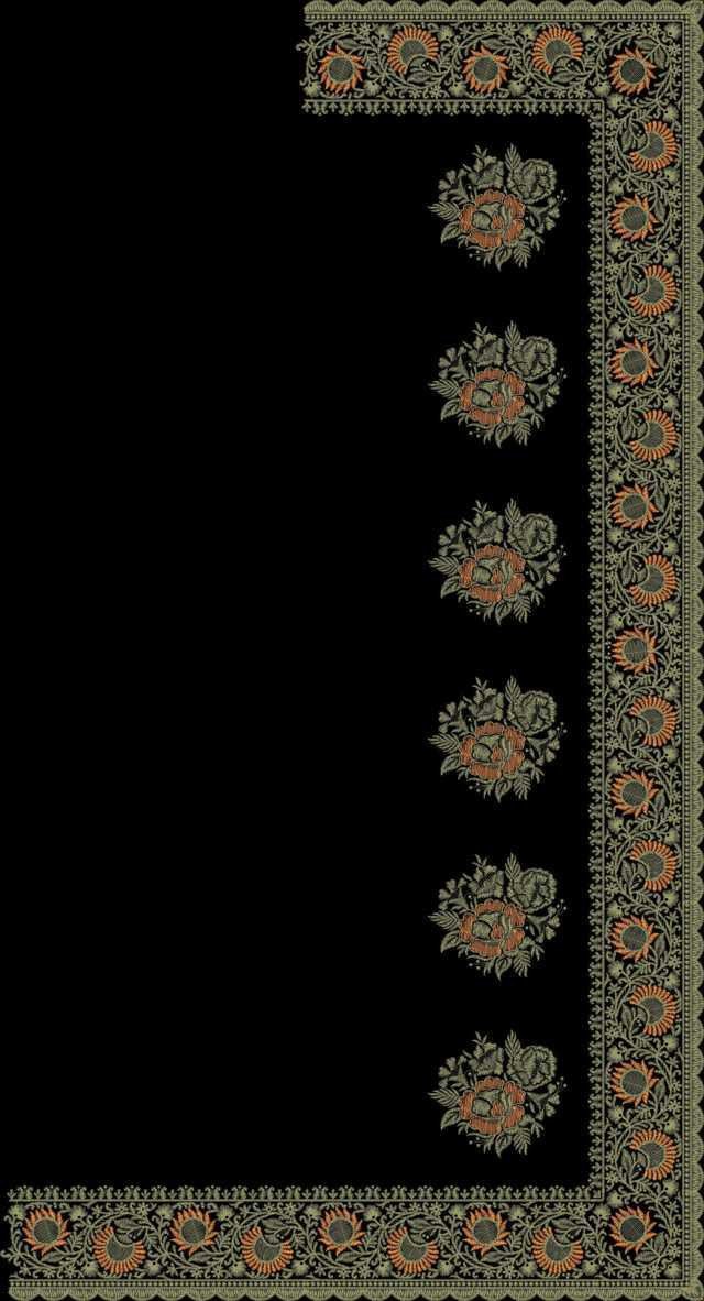 C Pallu Saree Design