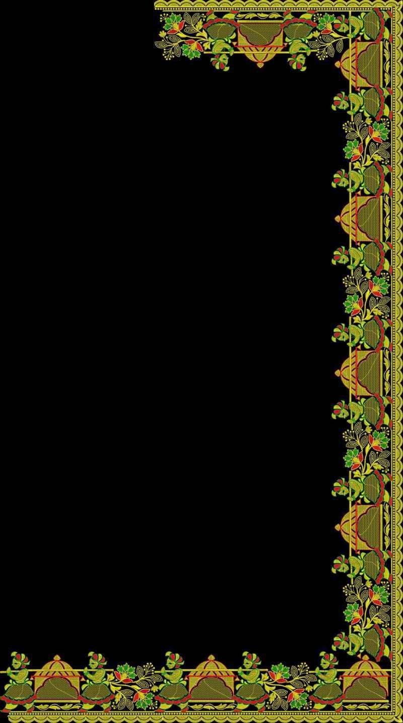 C Pallu Saree Design