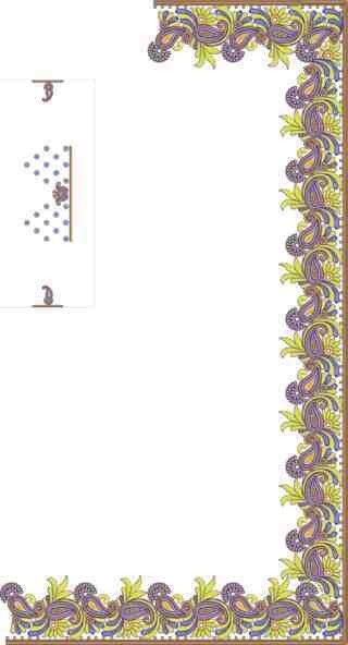 Cording C Pallu Saree Design
