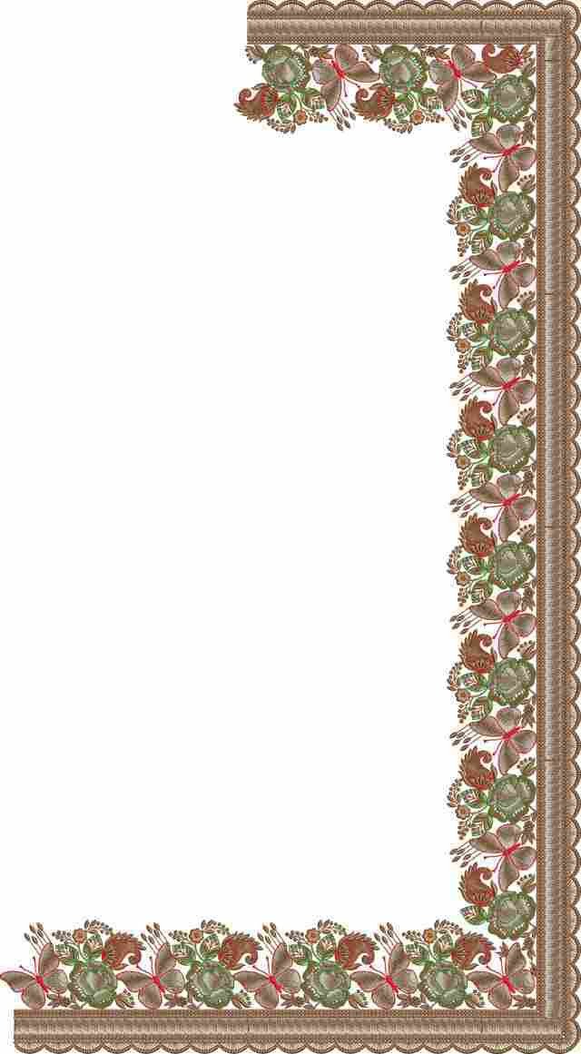 C Pallu Saree Design