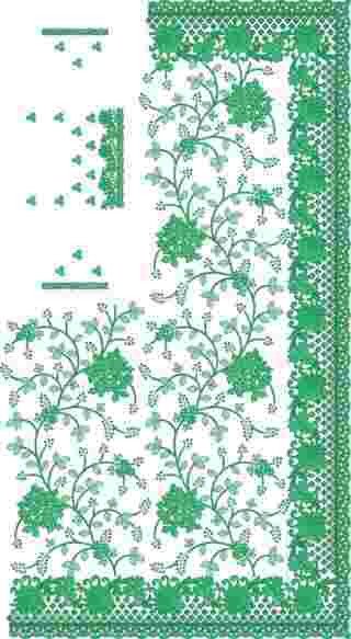 C Pallu Saree Design