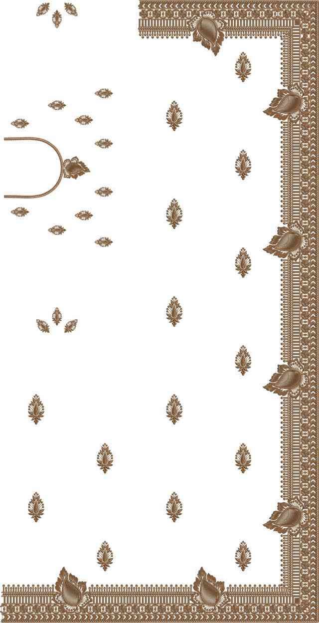 C Pallu Saree Design