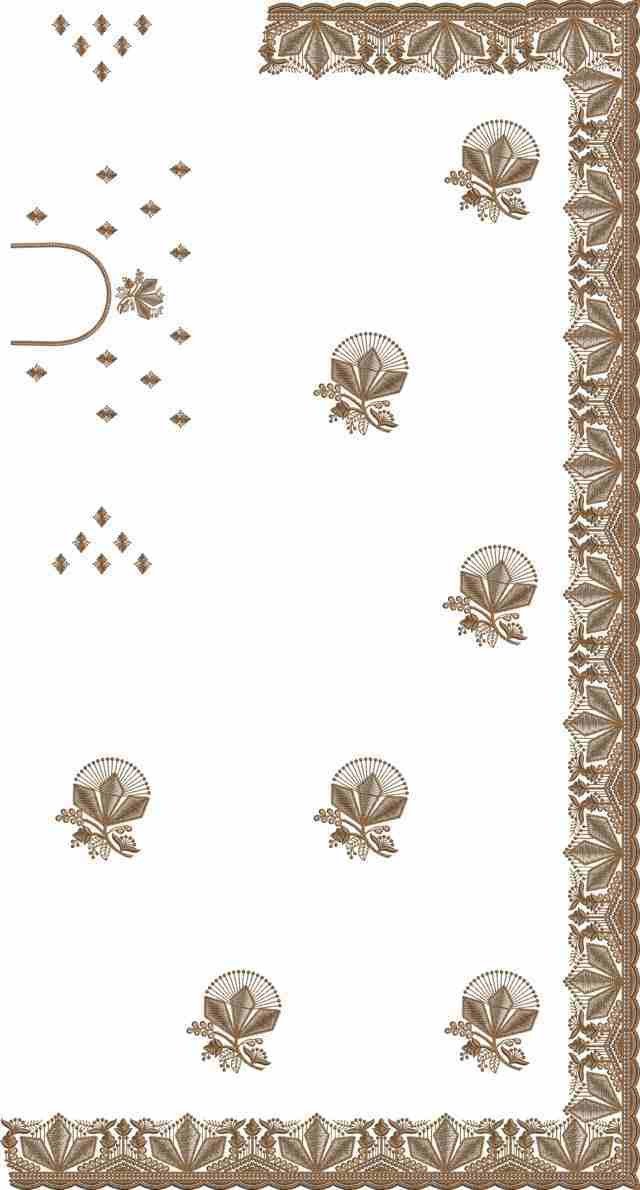C Pallu Saree Design