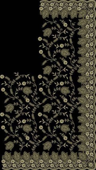 C Pallu Saree Design