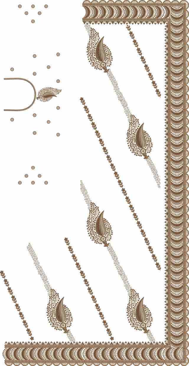 C Pallu Saree Design