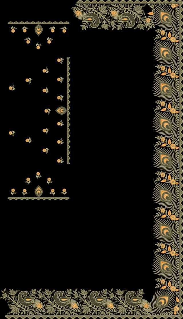 C Pallu Saree Design