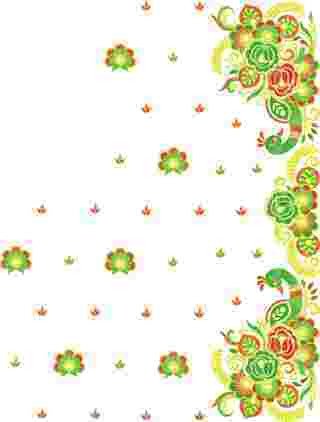 C Pallu Saree Design