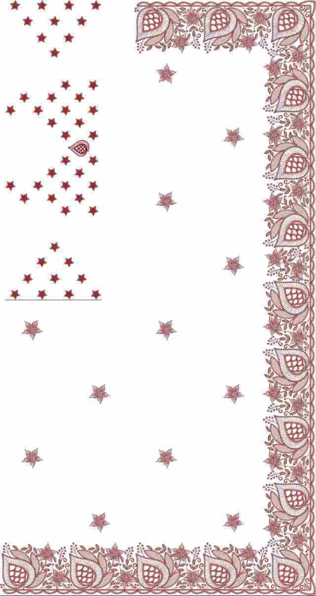 C Pallu Saree Design