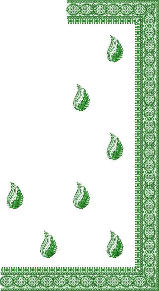 C Pallu Saree Design