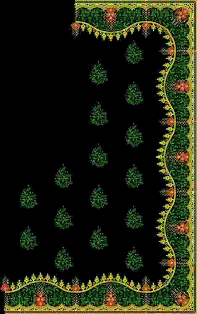 C Pallu Saree Design