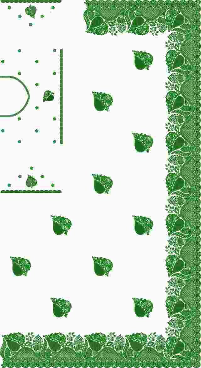 C Pallu Saree Design