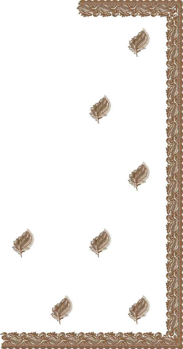 C Pallu Saree Design