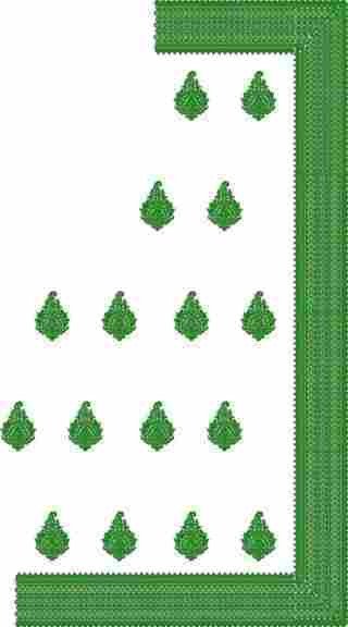 C Pallu Saree Design