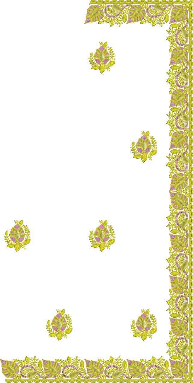 C Pallu Saree Design